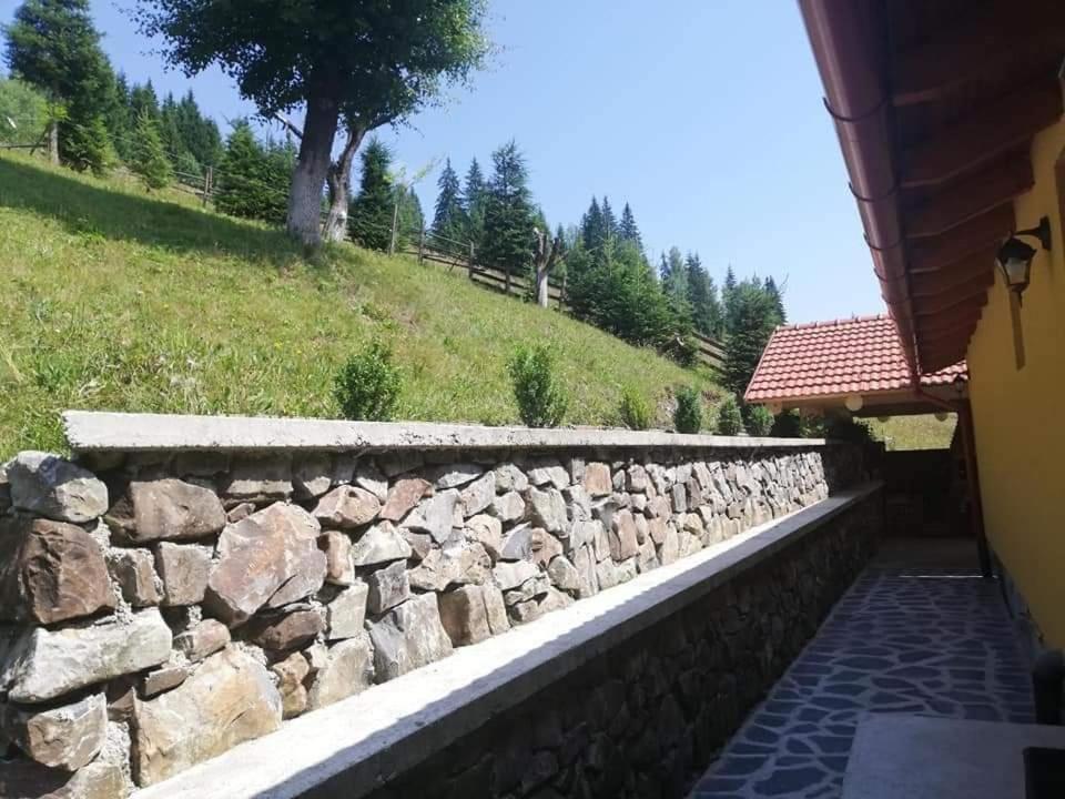 Casa Anghel Βίλα Bilbor Εξωτερικό φωτογραφία