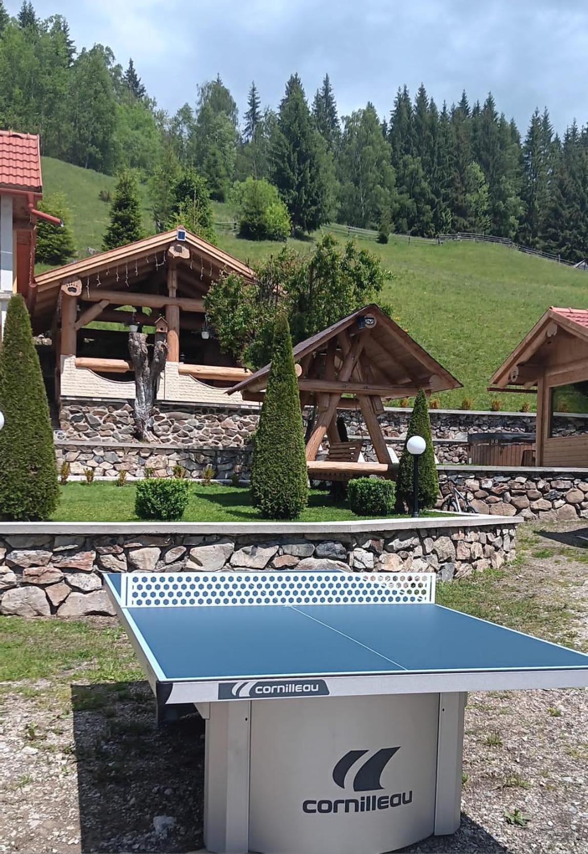 Casa Anghel Βίλα Bilbor Εξωτερικό φωτογραφία